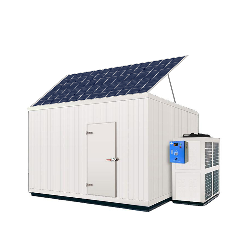 Photovoltaic Cold Storage: A Win-Win Solution to the Contradiction Between High Energy Consumption and Sustainable Development