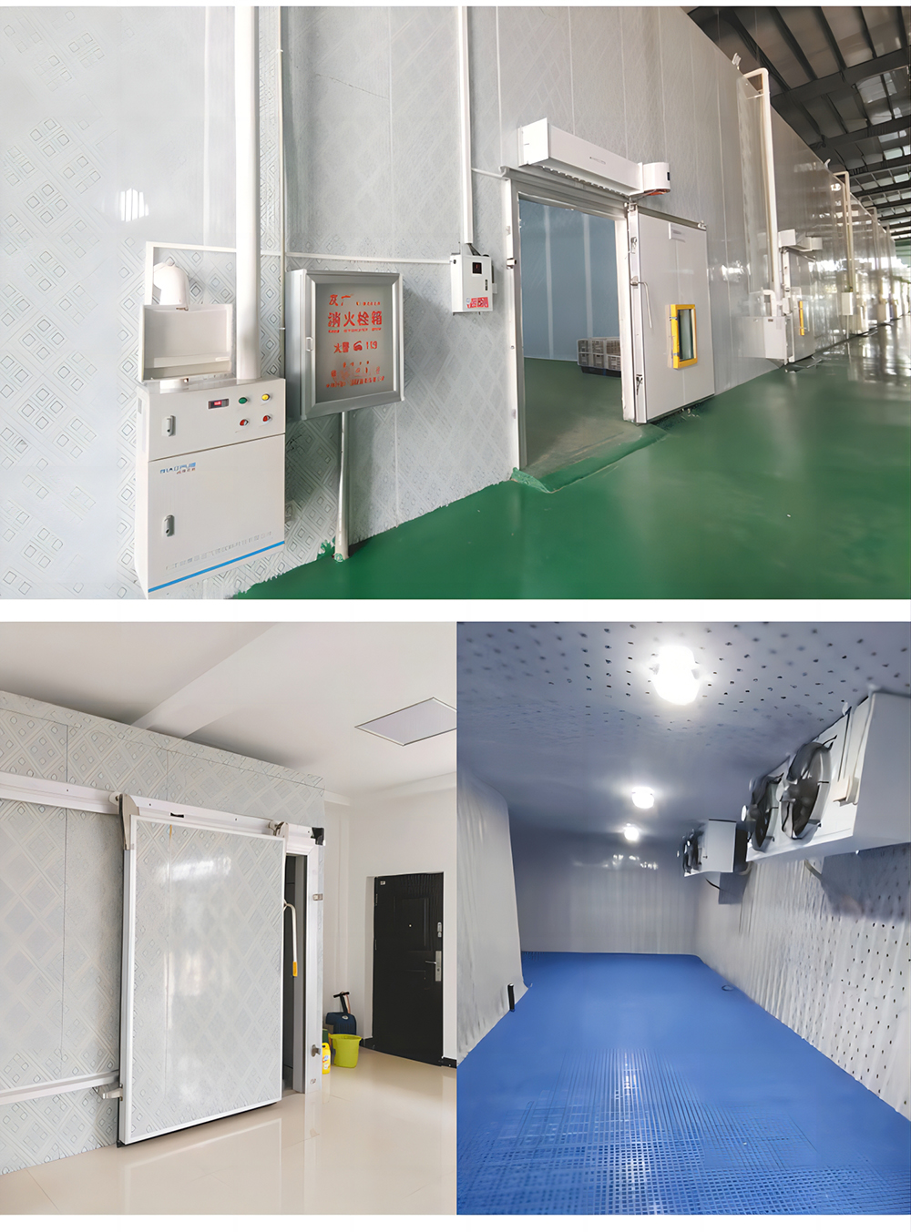 Large Cold Warehouse Solutions